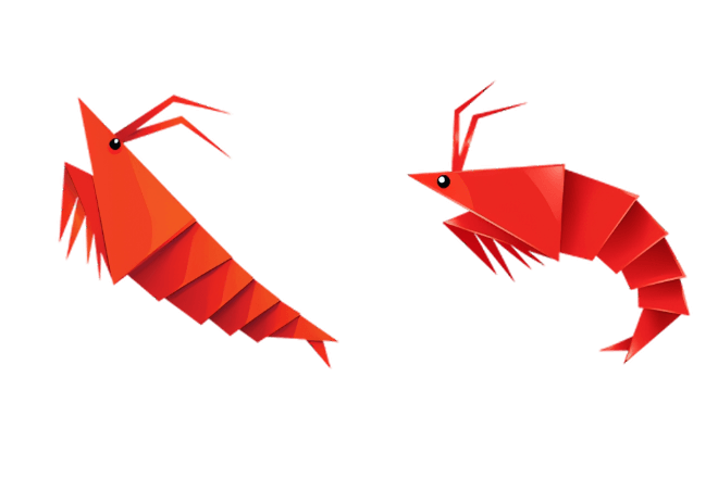 Origami Shrimp