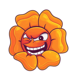 Cagney Carnation