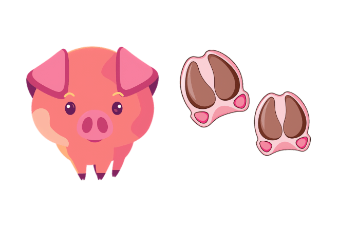 Pig
