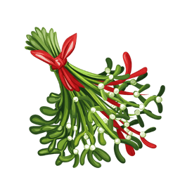 Christmas Holly & Mistletoe